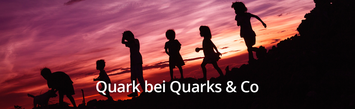 Quark bei Quarks & Co